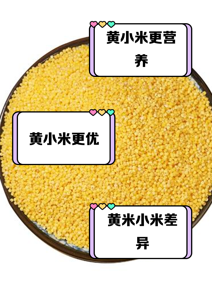 小米2s与小米3的区别 小米2s跟小米3性能哪个好 
